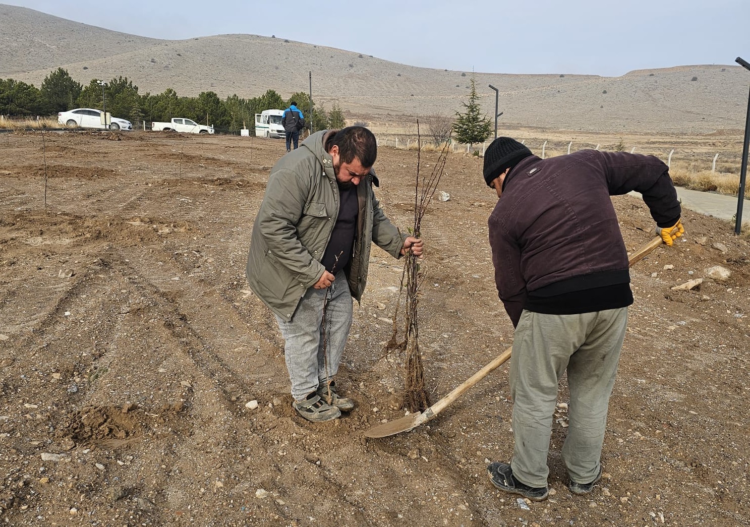 Emirdağ’da Millet Bahçesine Bodur Elma Fidanlarıyla Yeşil Adım!