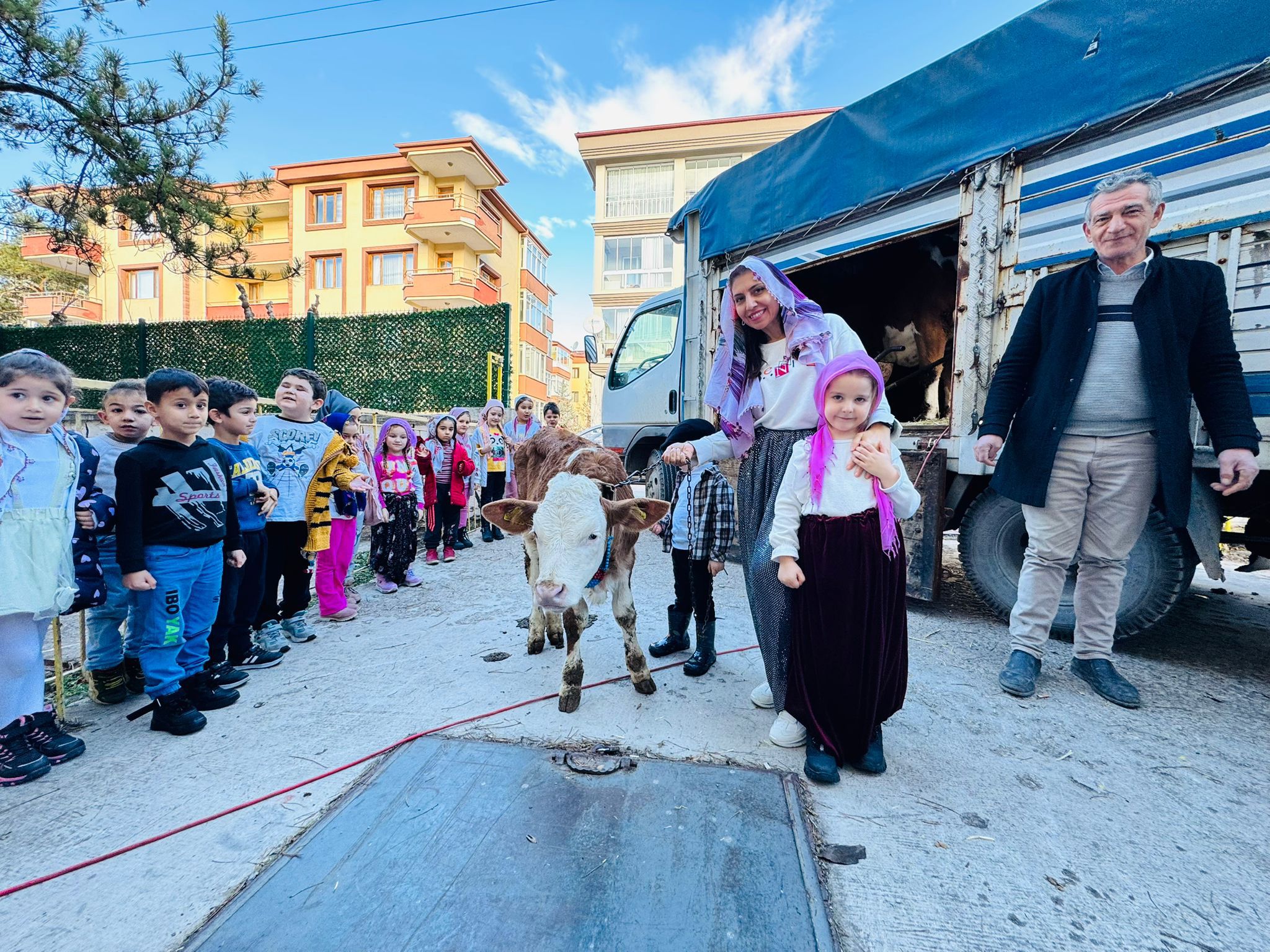 İnek geldi, ders bitti: Okul bahçesi çiftliğe dönüştü!