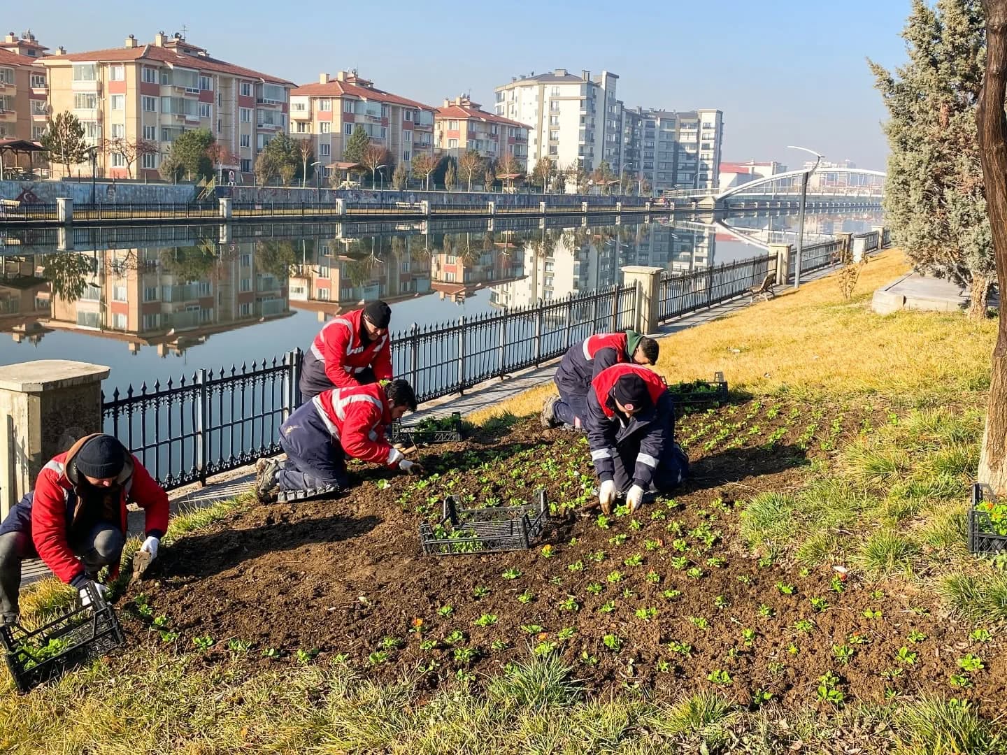 Afyon Belediyesi’nden şehre rengarenk çalışma!