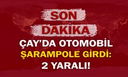 Çay’da otomobil şarampole girdi: 2 yaralı!