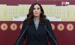 Evrim Rızvanoğlu: İklim Kanunu Teklifi Eksik, Türkiye'yi İklim Krizine Karşı Koruyamaz!