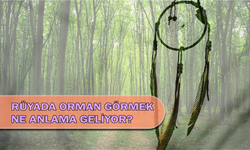 Rüyada Orman Görmek Ne Anlama Geliyor?