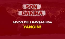 Son dakika: Afyon Filli Kavşağında yangın!