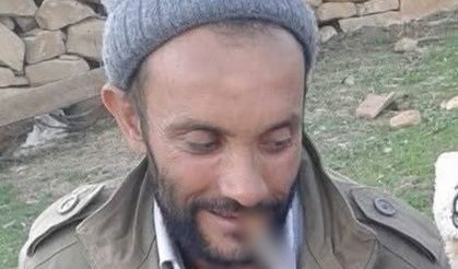 Ormana gitti ölü bulundu!