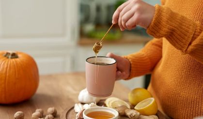 Bal ve zencefil karışımı hangi hastalıklara iyi gelir?