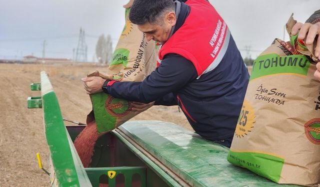 Toprağa düşen umut: Afyonkarahisar’da 300 ton buğday ekimi