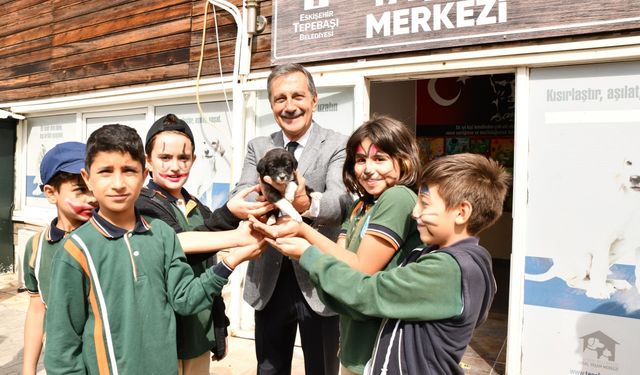 2024’te 607 can sıcak bir yuvaya kavuştu!