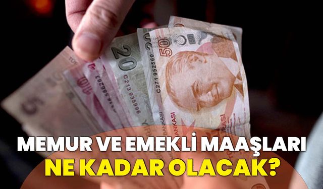 2025 Yılında Memur ve Emekli Maaşları ne kadar olacak?