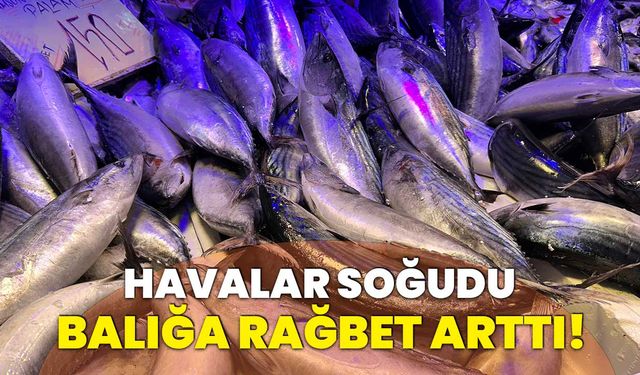 Havaların soğuması balığa olan rağbetti artırdı!