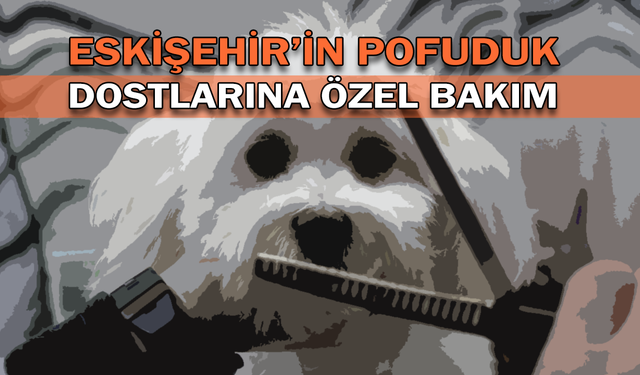 Eskişehir’in pofuduk dostlarına özel bakım!