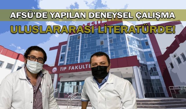 AFSÜ’de Yapılan Deneysel Çalışma Uluslararası Literatürde!