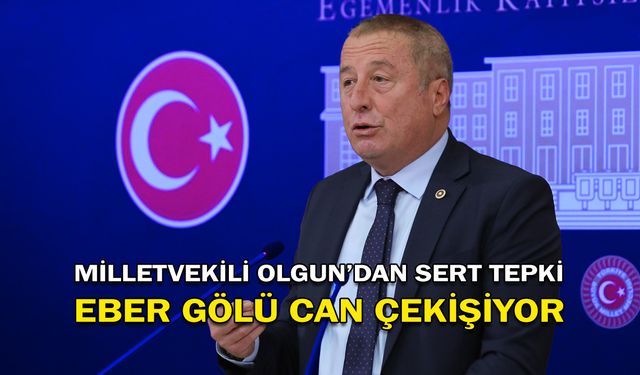 Milletvekili Olgun’dan Sert Tepki: Eber Gölü Can Çekişiyor!