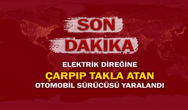 Elektrik direğine çarpıp takla atan otomobil sürücüsü yaralandı