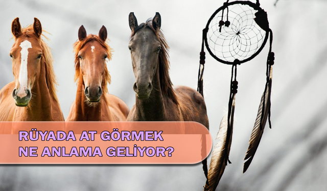 Rüyada At Görmek Ne Anlama Geliyor?