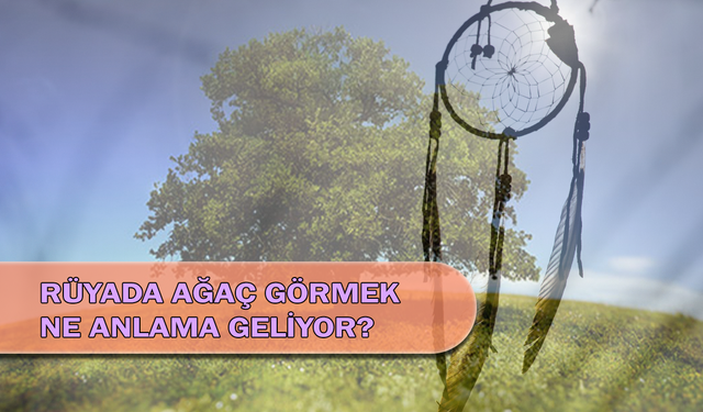 Rüyada Ağaç Görmek Ne Anlama Geliyor?