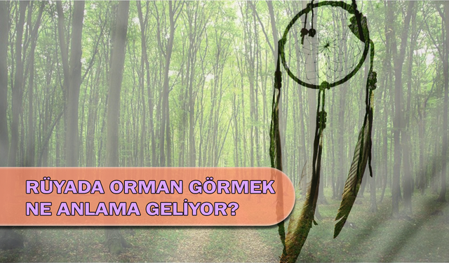 Rüyada Orman Görmek Ne Anlama Geliyor?