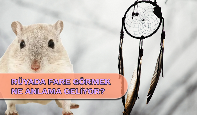 Rüyada Fare Görmek Ne Anlama Geliyor?