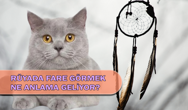 Rüyada Kedi Görmek Ne Anlama Geliyor?