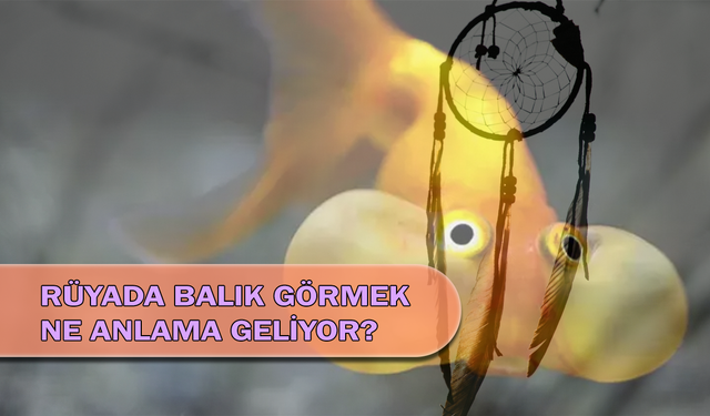 Rüyada Balık Görmek Ne Anlama Geliyor?