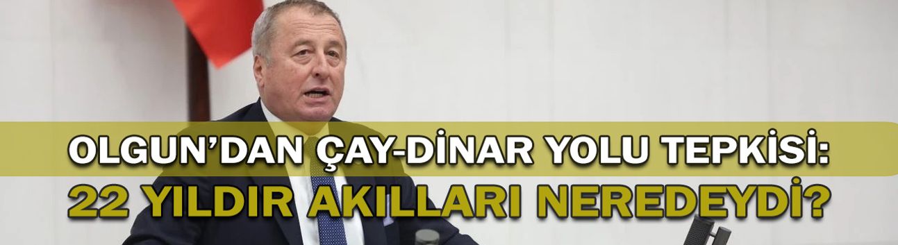 Olgun’dan Çay-Dinar Yolu Tepkisi: 22 Yıldır Akılları Neredeydi?