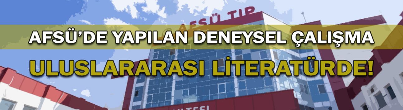 AFSÜ’de Yapılan Deneysel Çalışma Uluslararası Literatürde!